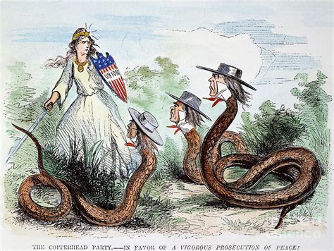 The Copperhead! A story of Civil War espionage and a conflicted Southern woman